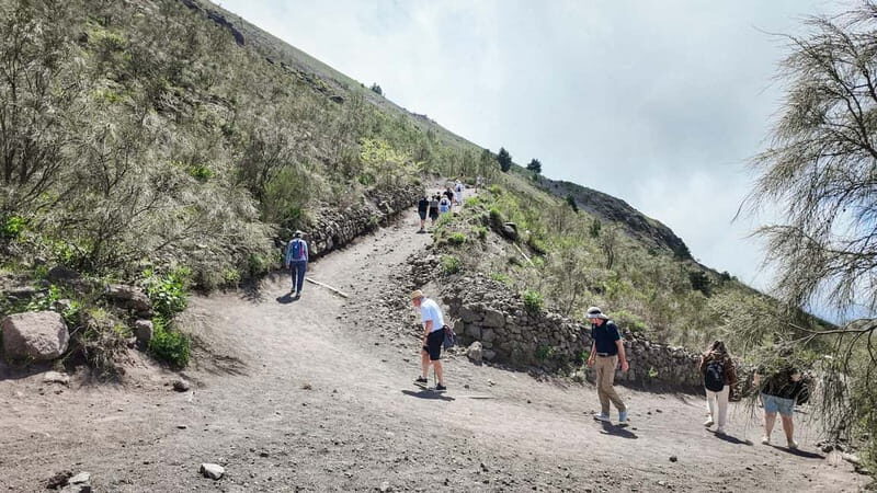 Mount Vesuvius From Naples: Bus, Ticket and Audio Guide - Important Information and Tips