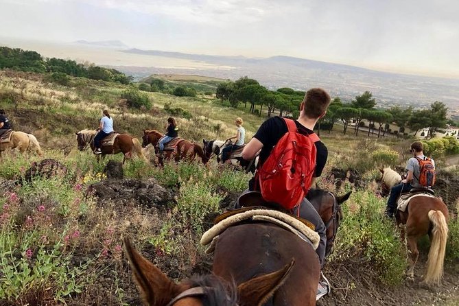 Mount Vesuvius Guided Horse Riding Tour With Sample Wine - Additional Information