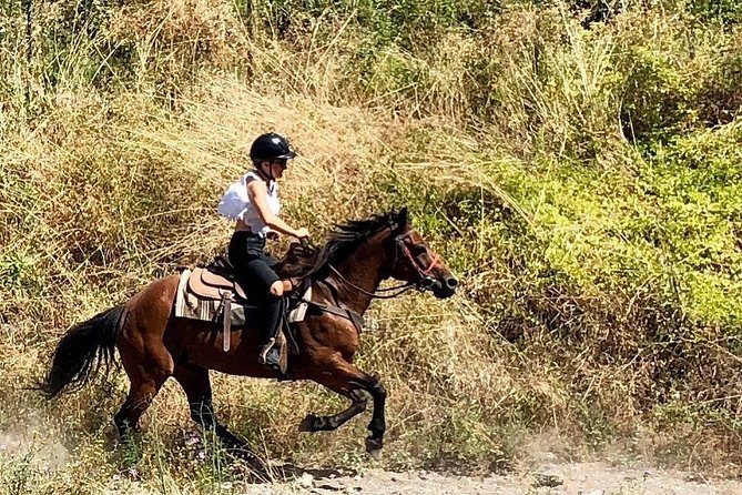 Mount Vesuvius Guided Horse Riding Tour With Sample Wine - Restrictions and Limitations