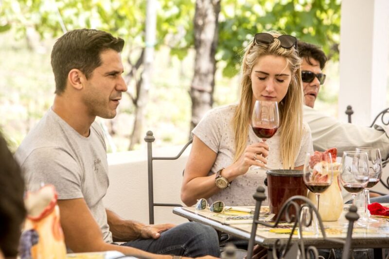 Mount Vesuvius: Vineyard Tour With Wine Tasting and Lunch - About the Vineyard