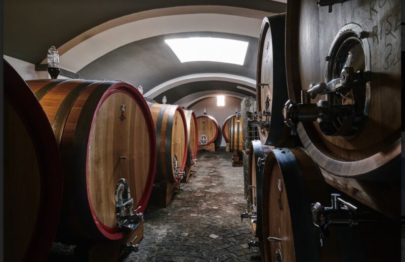 Mount Vesuvius: Vineyard Tour With Wine Tasting and Lunch - Wines Tasted