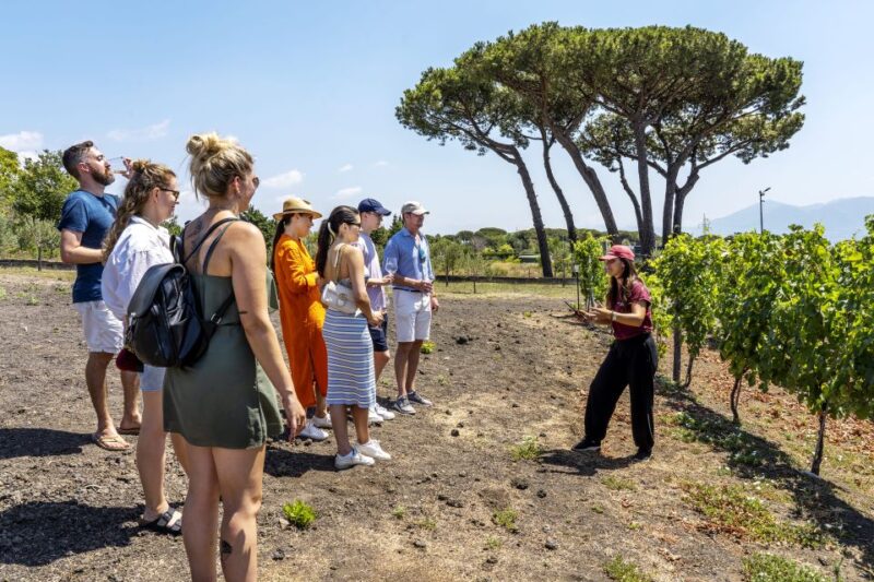 Mount Vesuvius: Wine Tasting Experience With Lunch Included - Guided Tour Experience
