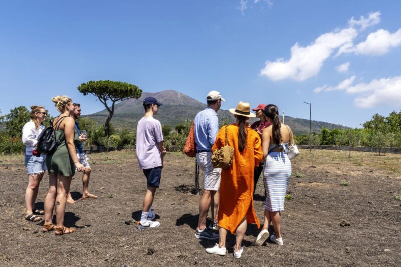 Mount Vesuvius: Wine Tasting Experience With Lunch Included - Meeting Point and Logistics