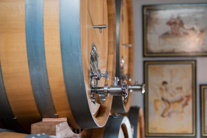 Mount Vesuvius: Wine Tasting Experience With Lunch Included - Customer Feedback and Ratings