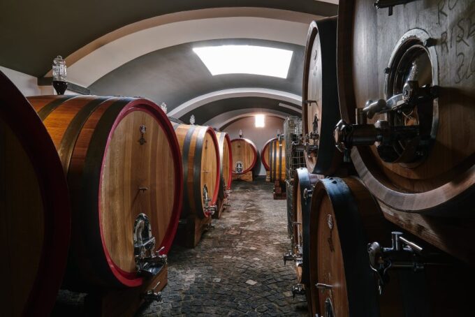 Mount Vesuvius: Wine Tasting Experience With Lunch Included - Grape Varieties and Winemaking