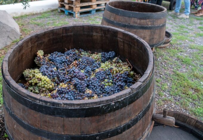 Mount Vesuvius: Wine Tasting Experience With Lunch Included - Stunning Views of Vesuvius