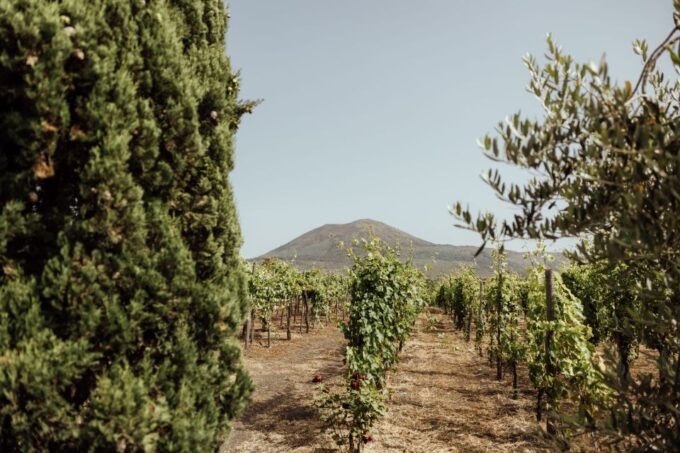 Mount Vesuvius: Wine Tasting Experience With Lunch Included - Frequently Asked Questions
