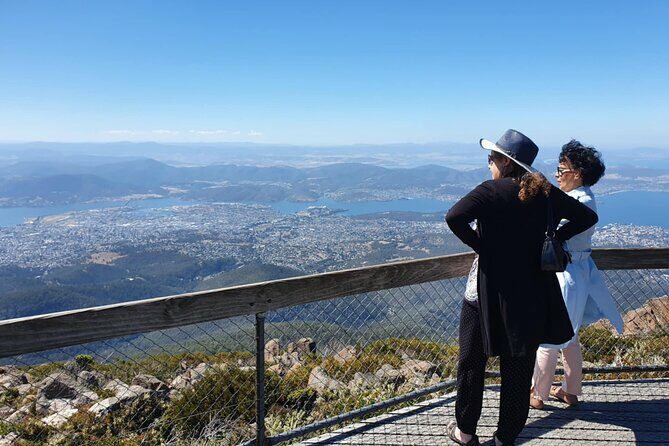 Mount Wellington Pinnacle 2 Hours Small Group Tour - The Experience, Value, and Practical Tips