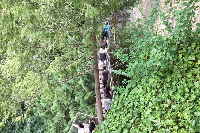 Mountain Adventure (Grouse Mountain and Capilano Suspension Bridge) - Capilano Suspension Bridge Highlights