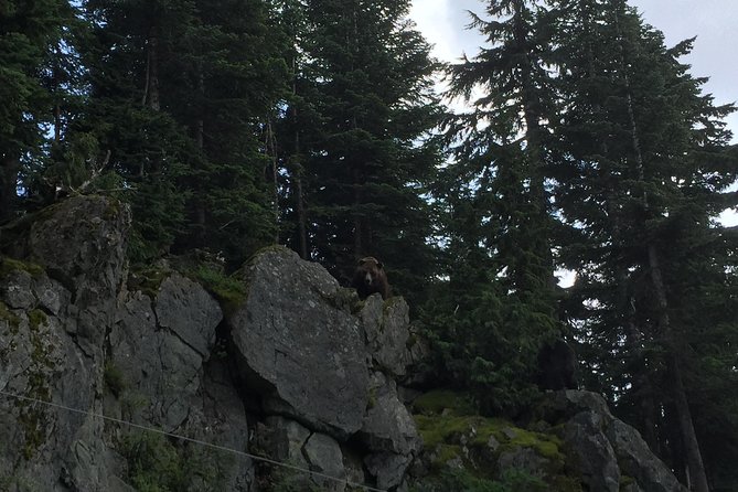Mountain Adventure (Grouse Mountain and Capilano Suspension Bridge) - Tour Exclusivity and Booking Confirmation