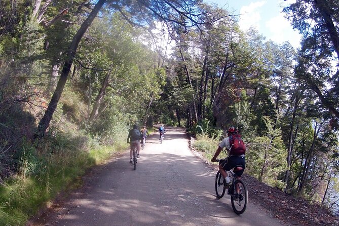 Mountain Bike Adventure in Bariloche - Half Day Tour in Private Service - Inclusions