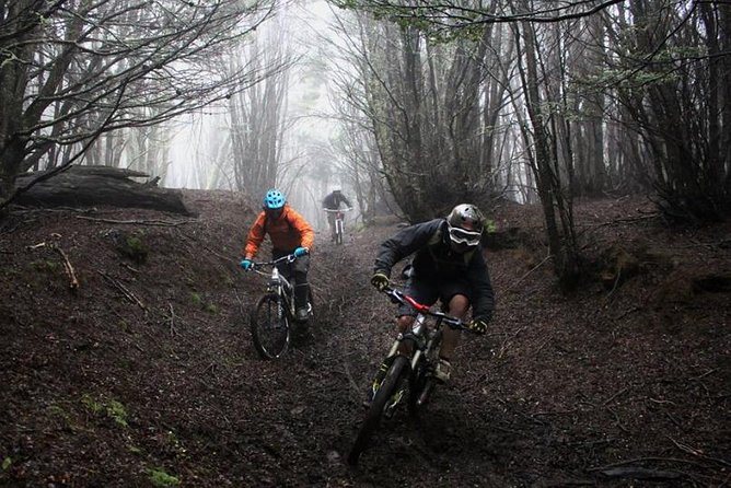Mountain Bike Adventure in Punta Arenas - Pricing and Inclusions