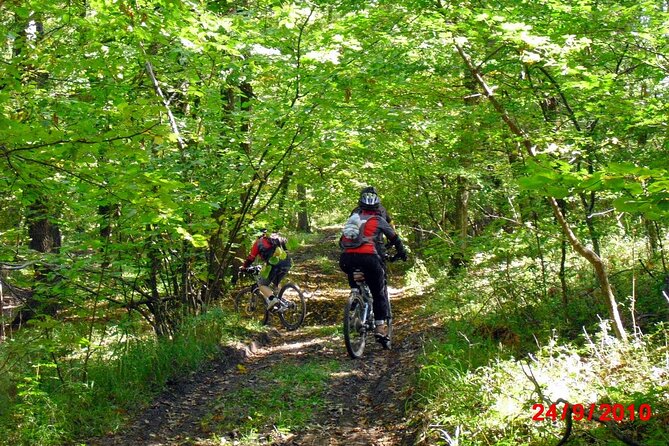 Mountain Bike Day Tour Around Brasov - Meeting Point and Transportation