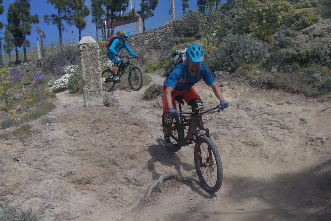 Mountain Bike Excursions - Skill Level and Fitness Requirements