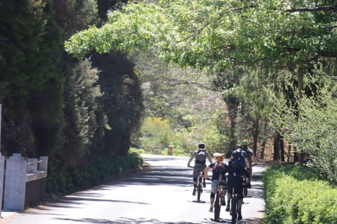 Mountain Bike Experience / Get-a-Ride Madeira - Frequently Asked Questions