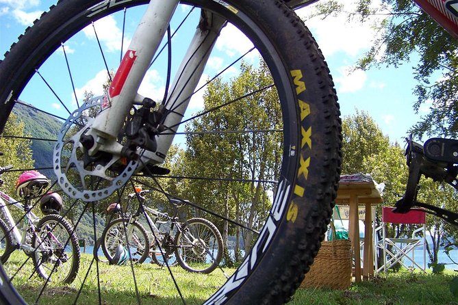 Mountain Bike Lago Gutiérrez - La Espina - Activity Overview