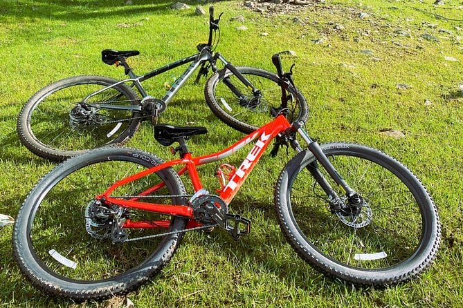 Mountain Bike (MTB) Rental - Participation Requirements