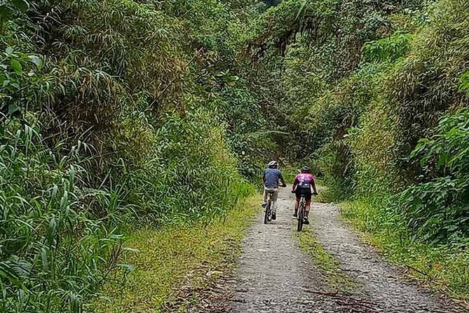 Mountain Bike: Quito to Mindo Cloud Forest - Full Day - Included Amenities and Gear