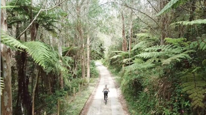 Mountain Bike Rental: a Ride Between Mountains. - Recap