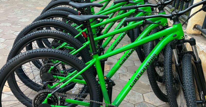 Mountain Bike Rental Siem Reap - Bike Options