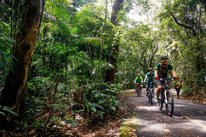 Mountain Bike Tijuca Rain Forest - Tour Overview