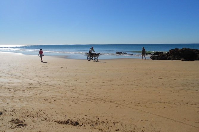 Mountain Bike Tour Conil De La Frontera Wine Bike Tour - Inclusions and Requirements
