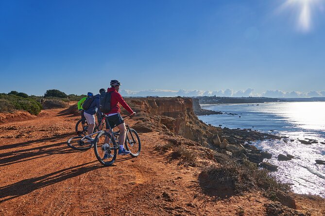 Mountain Bike Tour Conil De La Frontera Wine Bike Tour - Booking and Cancellation Policy
