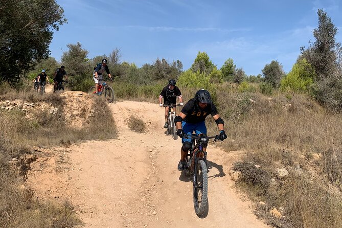 Mountain Bike Tour Font De La Mata - Traveler Reviews and Ratings
