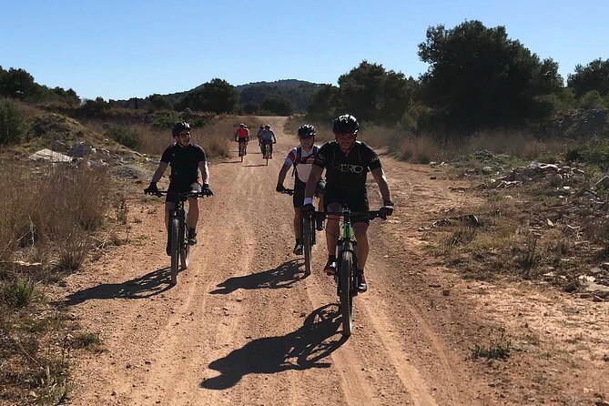 Mountain Bike Tour Font De La Mata - Trail Highlights and Terrain