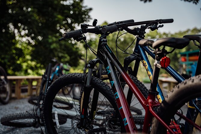 Mountain Bike Tour From the Roanoke Star - Health and Safety Considerations