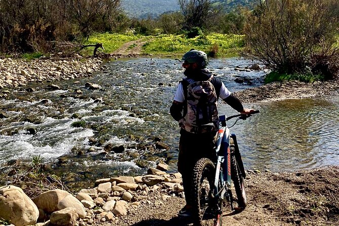 Mountain Bike Tour of the Madonie From Cefalù - Guest Experiences and Feedback