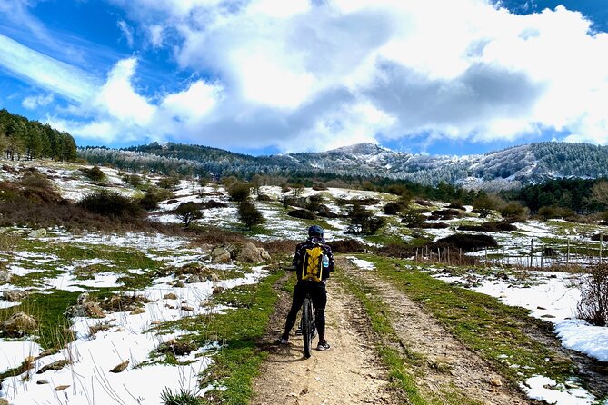 Mountain Bike Tour of the Madonie From Cefalù - Pricing and Availability