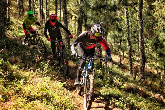 Mountain Biking at the Cumbre Ixtepeji Trails - Customer Feedback and Reviews