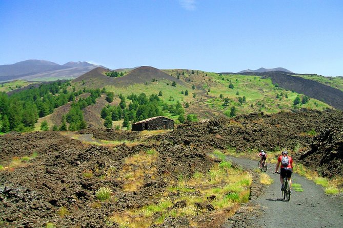 Mountain Biking Etna + Pick-Up From Catania - Cancellation Policy