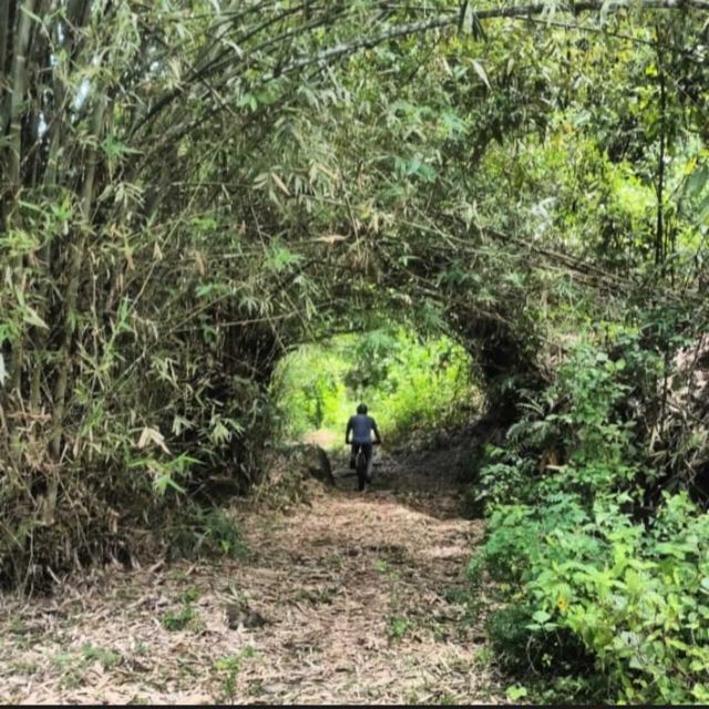 Mountain Biking in Galle - Pricing and Booking