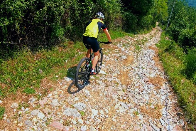Mountain Biking on Vrmac Peninsula - Panoramic View on Kotor Bay - Cycling Through History