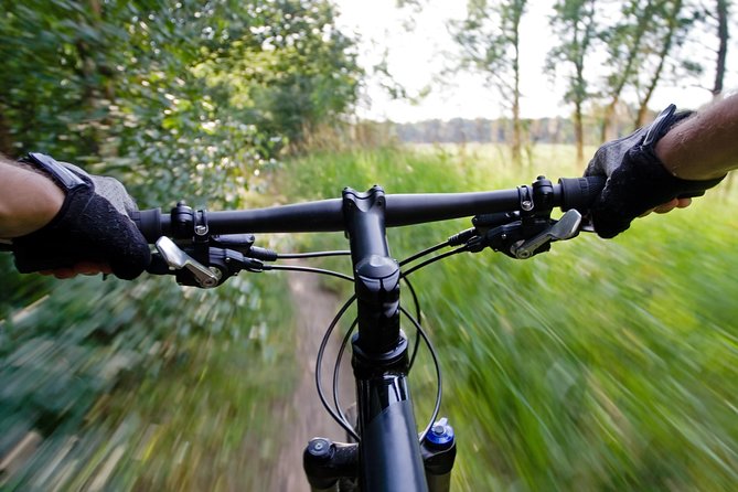 Mountain Biking Small-Group in Stockholm Forests for Beginners - Overview of the Adventure