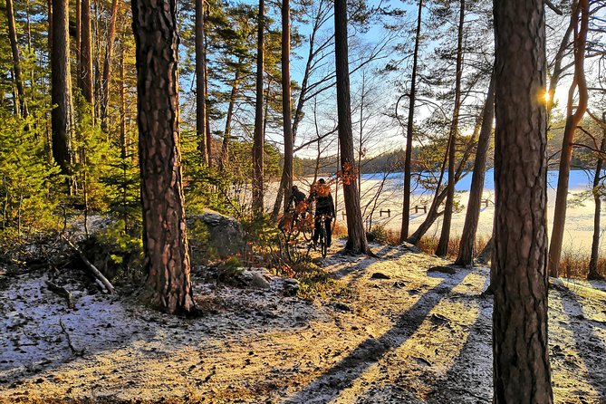 Mountain Biking Small-Group in Stockholm Forests for Beginners - Exploring the National Forest