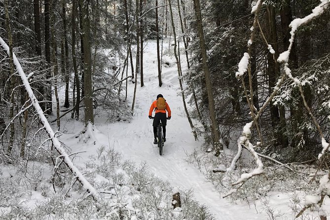 Mountain Biking Small-Group in Stockholm Forests for Beginners - Participant Reviews