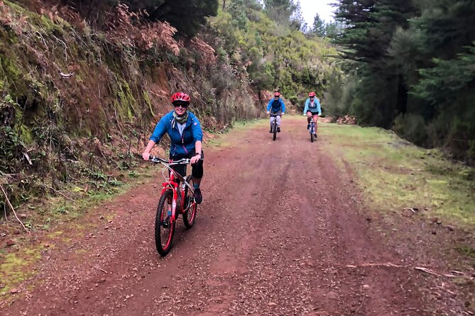 Mountain Biking Tour - Beginner Easy - Reviews and Feedback