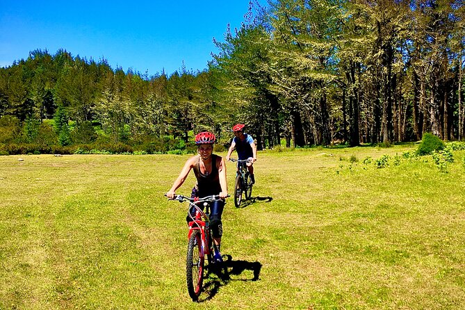 Mountain Biking Tour - Beginner Easy - Laurel Forest Trail