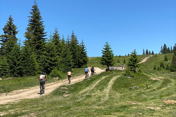 Mountain Biking Tour - Itinerary and Experience