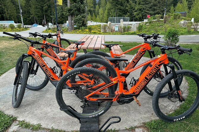 Mountain Breeze Tour - Mountain E Bike - Whistler Marmot Activity - Who is This Tour Best For?