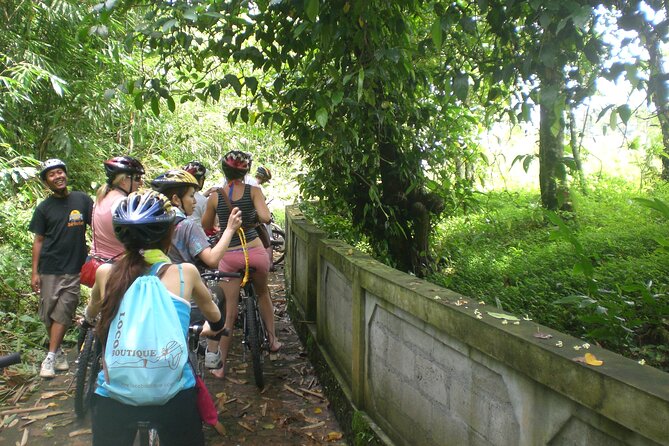 Mountain Cycling Tour - Balinese History and Culture