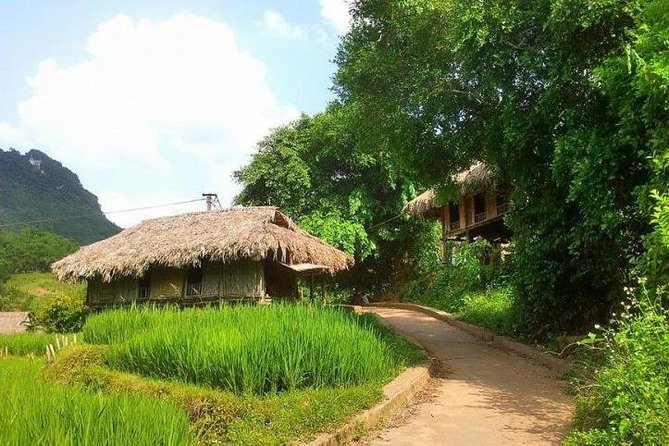 Mountain Day Trip to Experience Muong Culture From Hanoi - Highlights of the Village Experience