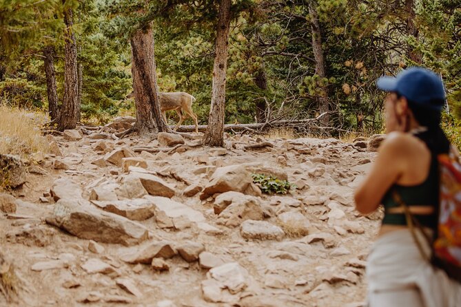 Mountain Escape Day Hike - Private Tour in the Colorado Rockies - Key Points