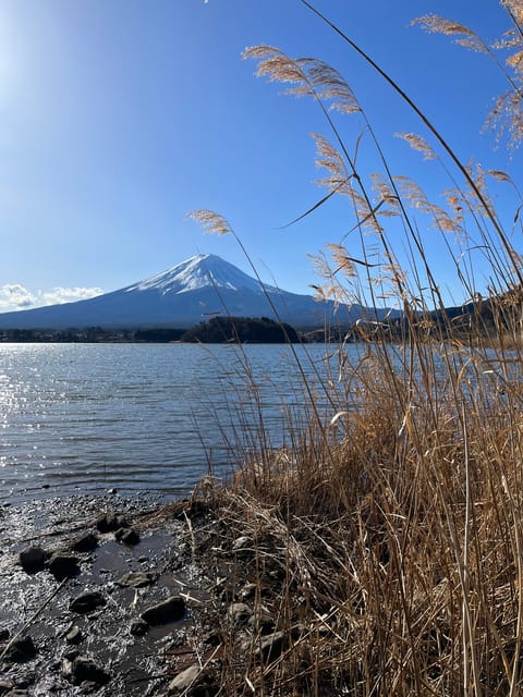 Mountain Fuji Instagram-Worthy Day Trip - Tour Inclusions and Information