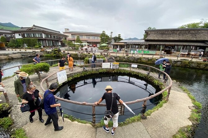 Mountain Fuji Tour In Japan With Professional English Tour Guide - Pickup and Drop-off