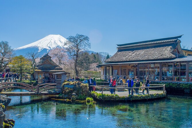 Mountain Fuji Tour In Japan With Professional English Tour Guide - Important Information