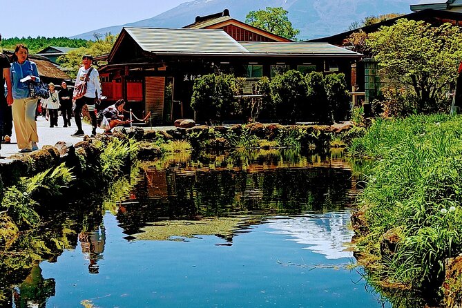 Mountain Fuji Tour In Japan With Professional English Tour Guide - Preparing for the Tour